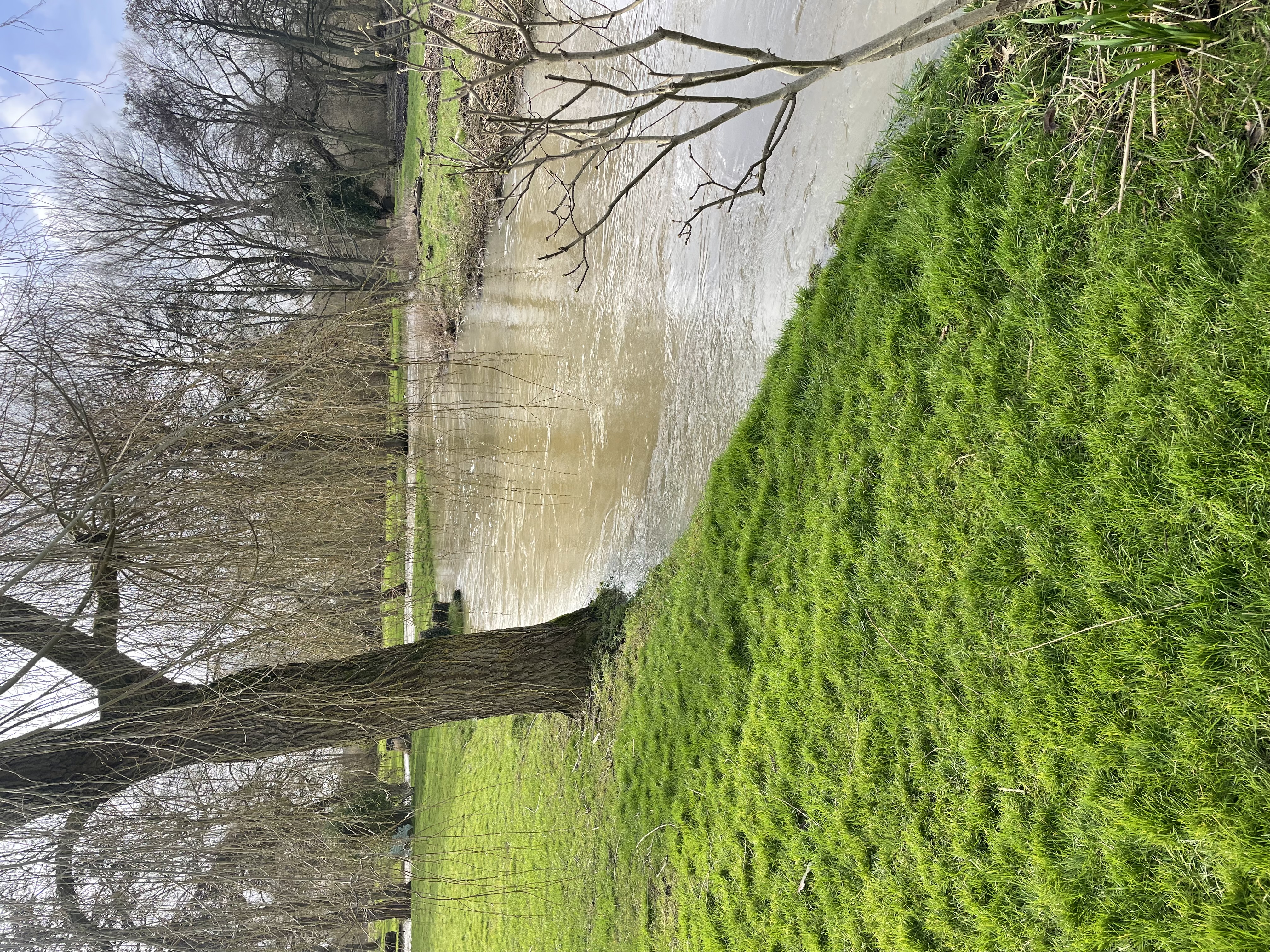 River Ecosystem