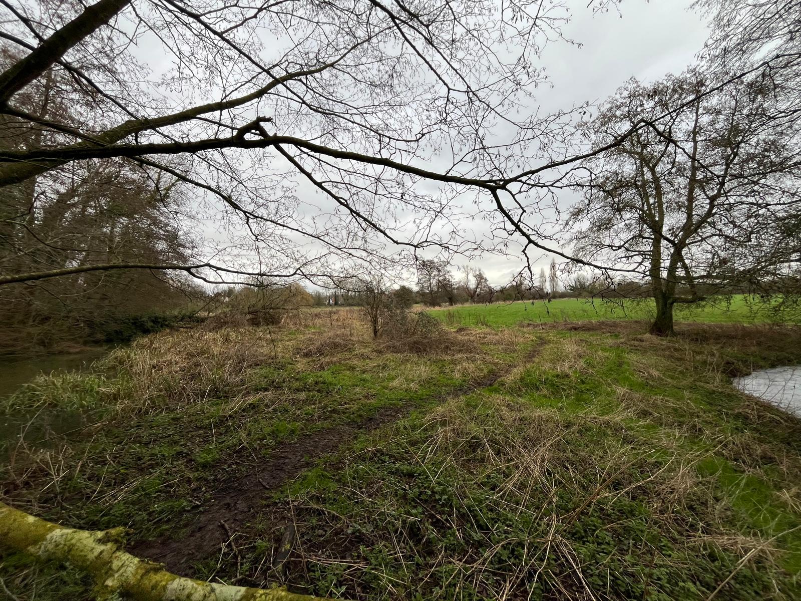 Dingley Wood Riffle